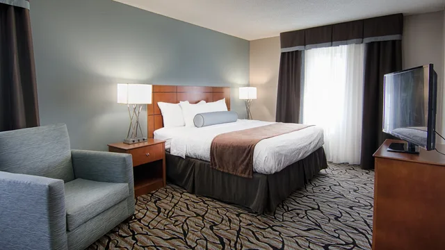غرفة بسرير كوين مع أريكة، Best Western Plus Blaine At The National Sports Center 1/1