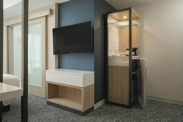 جناح ركني بسرير كينج مع أريكة، SpringHill Suites by Marriott Tampa Downtown 5/6
