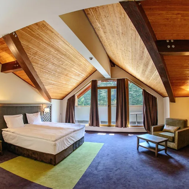 Suite, Single Bed, Hot Springs Medical & Spa Hotel 6/10