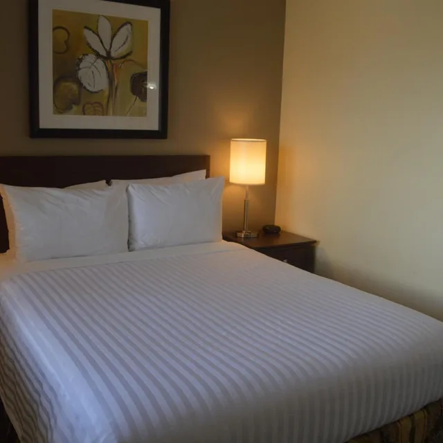 جناح عائلي، Siesta Suites 2/8