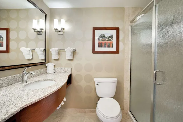 جناح بسرير كينج بجاكوزي، Hilton Garden Inn Milwaukee Airport 2/2