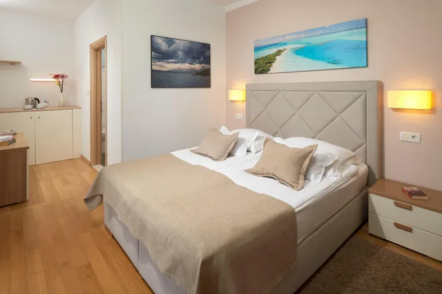 غرفة اقتصادية بسرير مزدوج، Hotel Fortuna 3/3