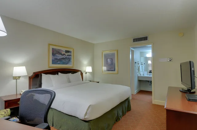 غرفة قياسية بسرير كينج، Vagabond Inn Executive San Francisco Airport 3/7