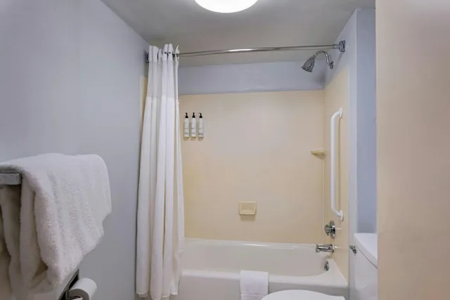 جناح بسريرين كوين مع سرير سحّاب إضافي مع أريكة لذوي الإعاقة، SpringHill Suites Pittsburgh Washington 3/3