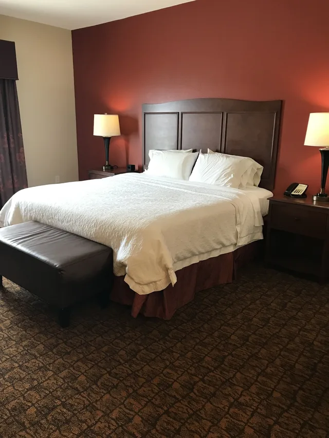 Study, King Bed, Sofa، Hampton Inn Suites Mcallen 3/6