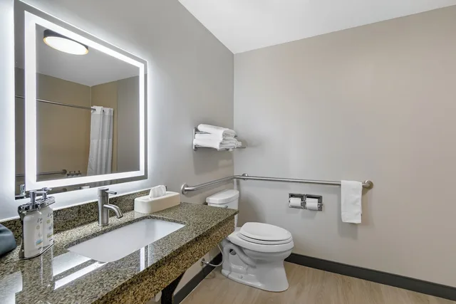 Standard, King Bed, Accessible, Holiday Inn Express & Suites Clemson - Univ Area 7/8