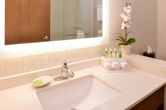 غرفة قياسية بسرير كينج لذوي الإعاقة، Holiday Inn Express And Suites West Melbourne 5/6