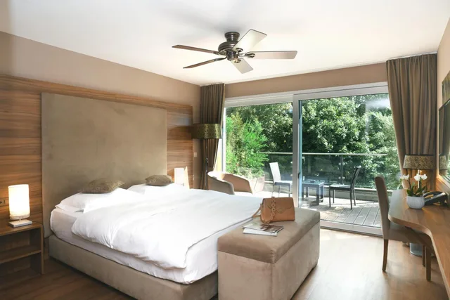 Deluxe, Double Bed, Forest View، Le Baron Tavernier Hotel Restaurants Spa 1/8