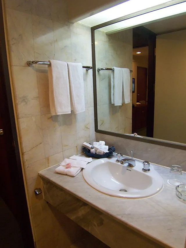 غرفة بريميير بسرير مزدوج، Hansa Jb Hotel 7/9