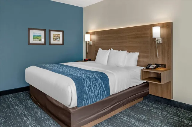 Room, King Bed, Comfort Inn & Suites Troutville-Roanoke North 1/4