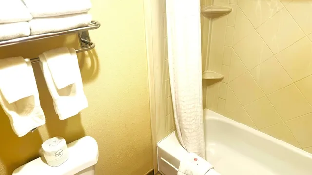 جناح بسرير كينج مع أريكة، Comfort Inn Downtown Salt Lake City, UT 4/8
