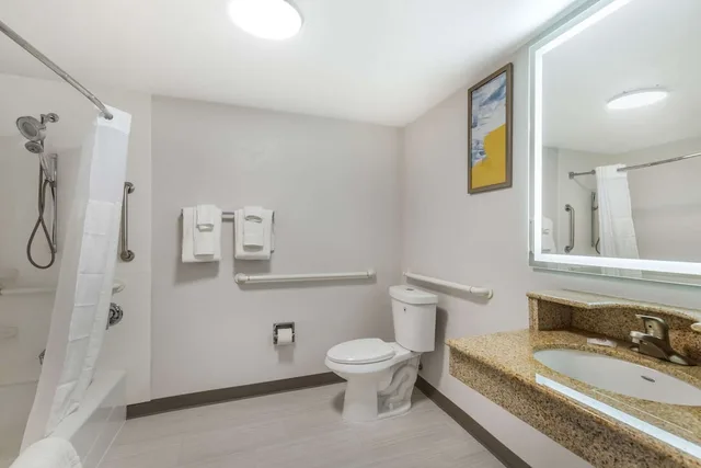 جناح بسرير كينج مع أريكة، Comfort Inn and Suites Arlington Heights Wilke Rd 8/9