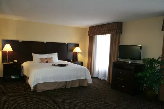 جناح استوديو بسرير كينج مع أريكة، Hampton Inn Suites Orlando John Young Pkwy 1/1
