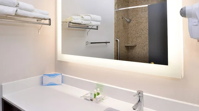 جناح بسرير كينج بغرفة نوم واحدة، Holiday Inn Great Falls 2/2
