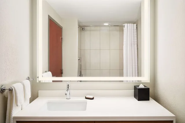Special, Suite, King Bed، Embassy Suites by Hilton Hampton Convention Center 4/4