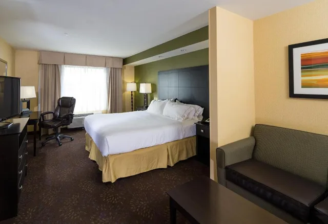 غرفة بسرير كينج لذوي الإعاقة، Holiday Inn Express Hotel And Suites Detroit North Troy 3/3