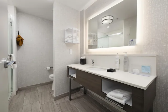 Study, King Bed, Sofa، Hampton Inn Suites Mcallen 4/6