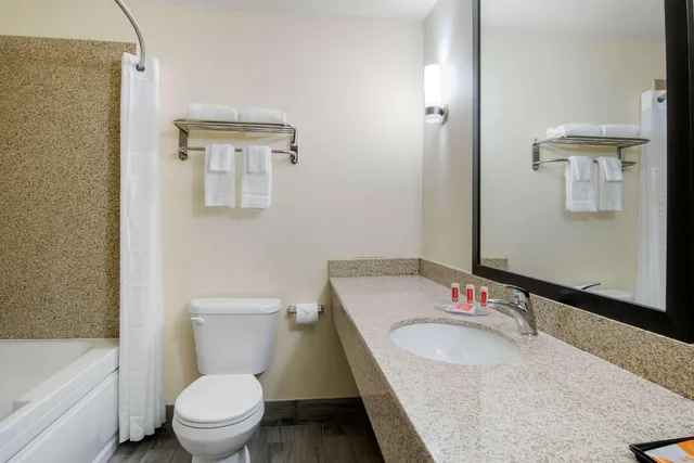 Efficiency, Suite, King Bed، Econo Lodge Inn & Suites Springfield Main Street 3/3