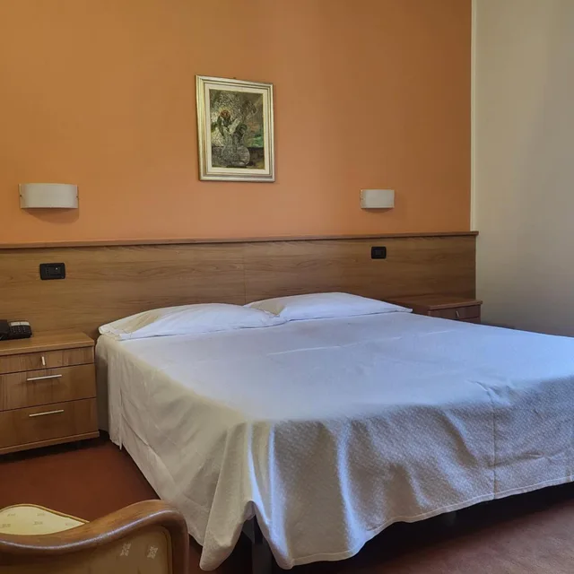 غرفة بسرير مزدوج، Hotel Lux 8/10