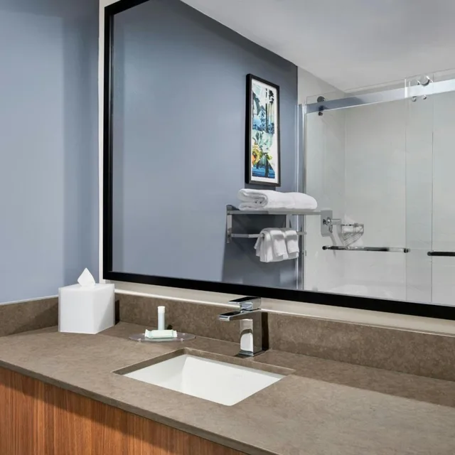 غرفة بسرير كينج بحوض استحمام لذوي الإعاقة، Fairfield Inn Suites San Diego Old Town 5/5