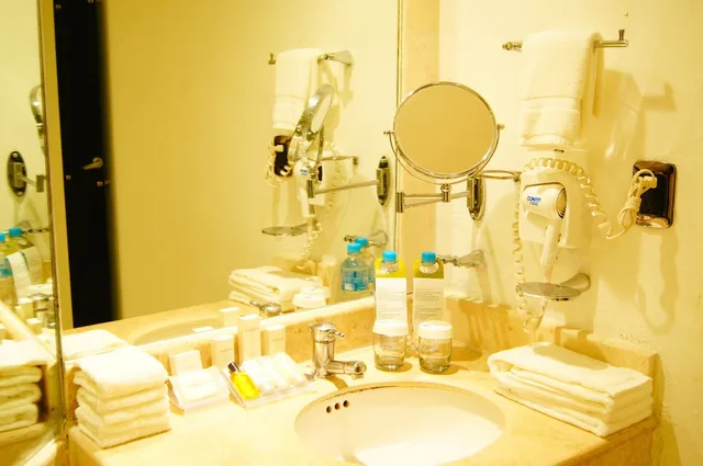 جناح جونيور بسرير كينج بإطلالة على البحر بشرفة، Hilton Garden Inn Boca Del Rio Veracruz 10/10