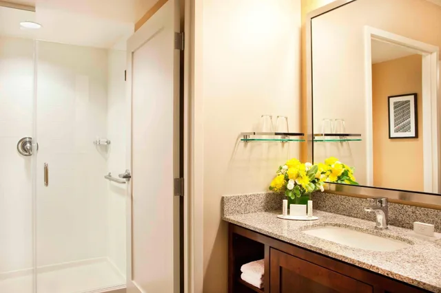 Studio, Suite, King Bed, Sofa, Residence Inn By Marriott Boston Back Bay Fenway 6/9