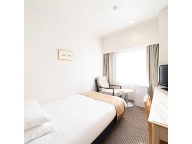 Semi Room, Standard, Double Bed, Hotel Terrace The Square Hitachi 1/1