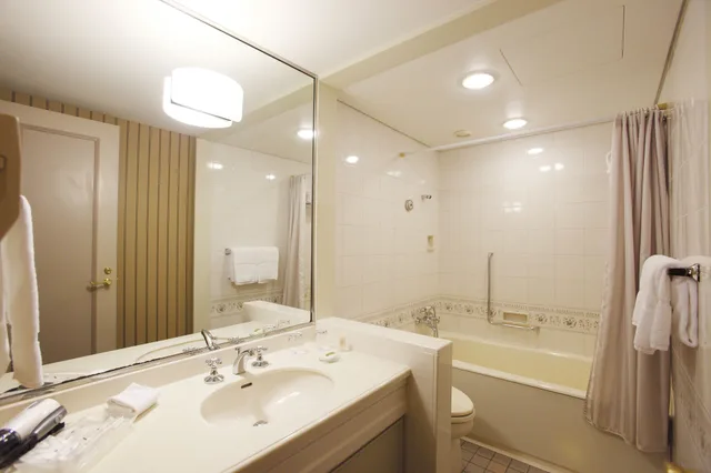 Semi Room, Standard, Double Bed، Hotel Den Haag 4/4