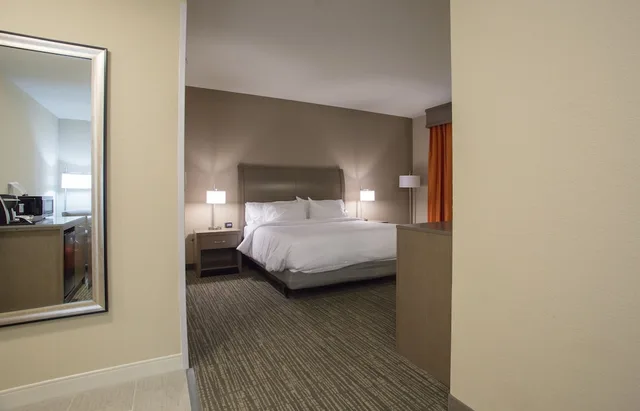 غرفة بسرير كينج بحوض جاكوزي لذوي الإعاقة، Hilton Garden Inn Bolingbrook I-55 6/6