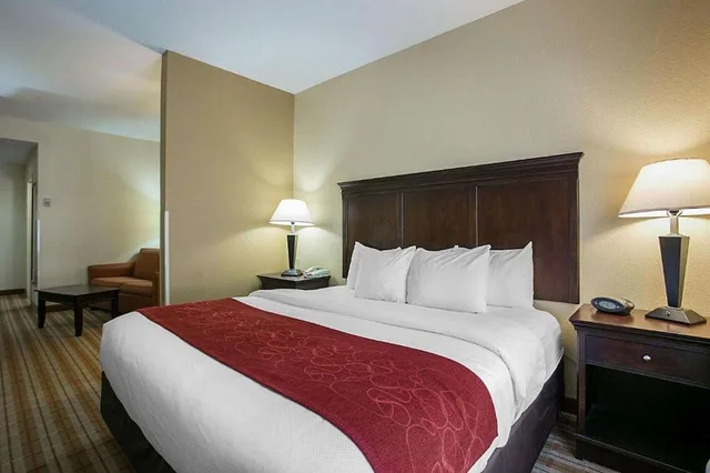 جناح مع أريكة، Comfort Suites Augusta Riverwatch 6/10