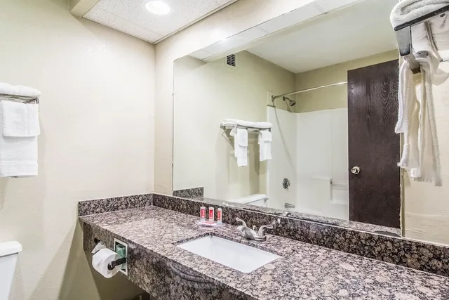 غرفة قياسية بسريرين مزدوجين يُسمح فيها بالحيوانات الأليفة، Econo Lodge Darien GA 4/4