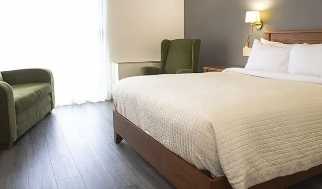 Comfort, Economy, Queen Bed, Bath and Shower, Sofa، Hotel Castel 1/7