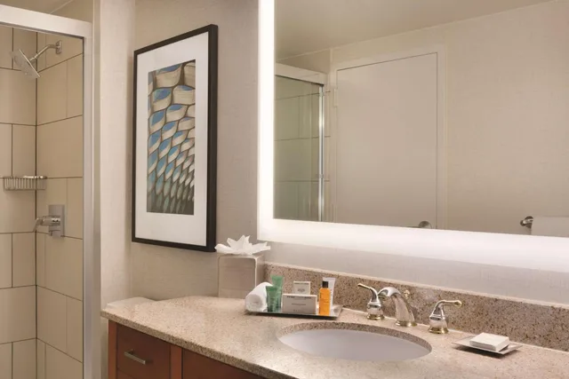 استوديو سوبيريور بسرير كينج مع أريكة في طابق مرتفع، Hilton Chicago Magnificent Mile Suites 3/3