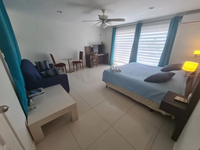 استوديو ديلوكس بسرير كينج مع أريكة، Bubali Villa And Apartments 9/10