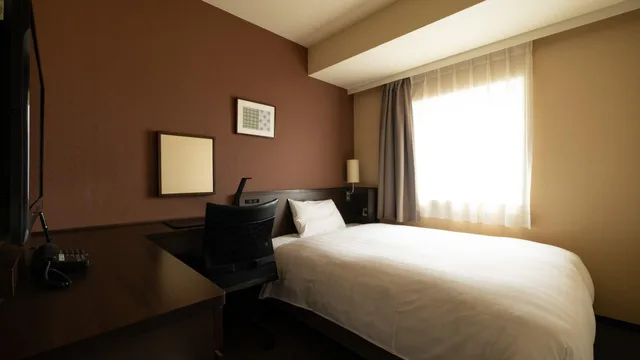 Premium, Single, Via Inn Tokyo Oimachi 1/1