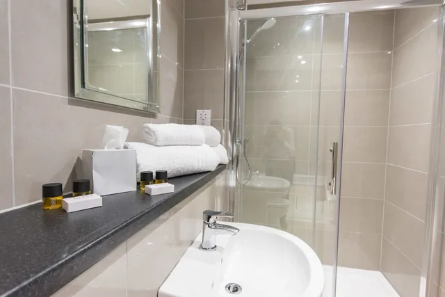 غرفة ديلوكس بسرير كينج بإطلالة على المدينة، St Nicholas Hotel 6/6