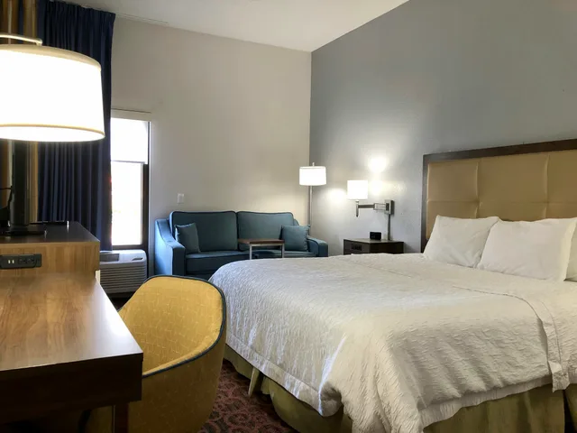 غرفة بسرير كينج لذوي الإعاقة، Hampton Inn Spring Hill 1/2