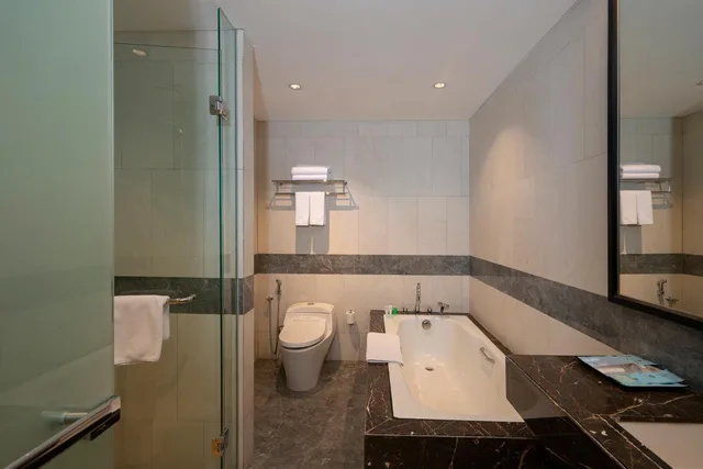 جناح تنفيذي، ANARA AIRPORT HOTEL 4/6