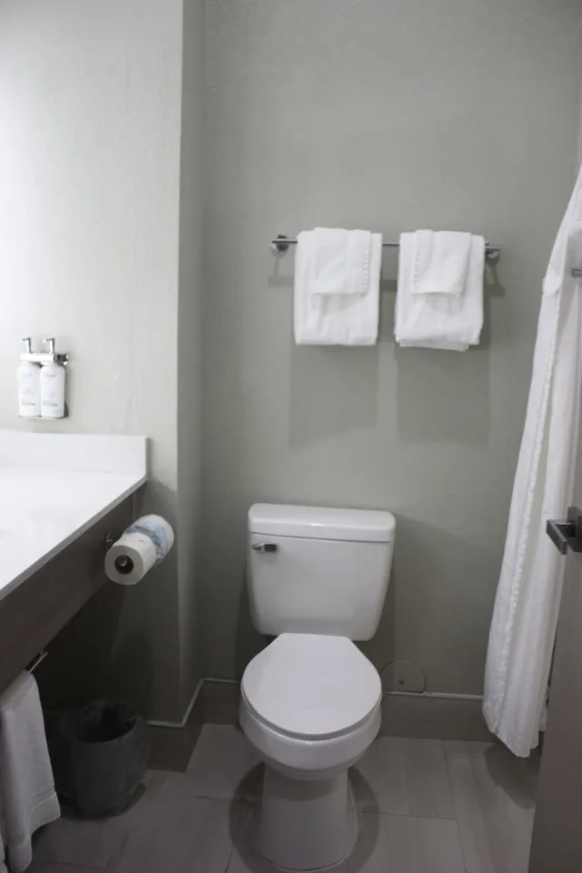 Standard, Holiday Inn Express Hotel & Suites Shamrock North 7/9