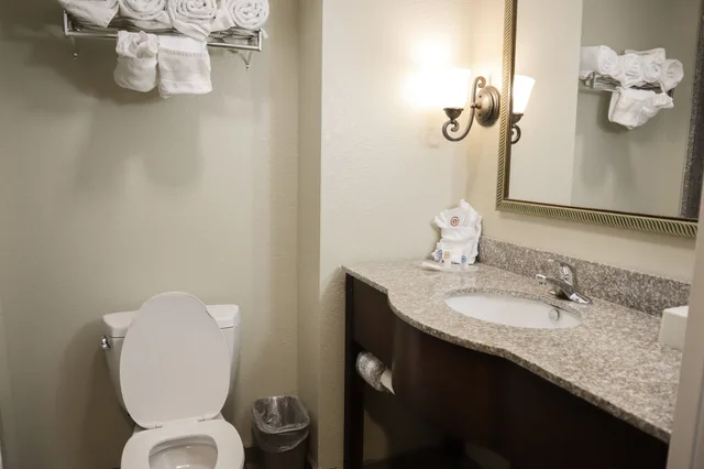 Suite, King Bed, Sofa, Comfort Suites Ocala - North 7/10