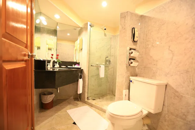غرفة ديلوكس تنفيذية بسريرين منفصلين بإطلالة على المدينة، Ramana Hotel Saigon 5/6