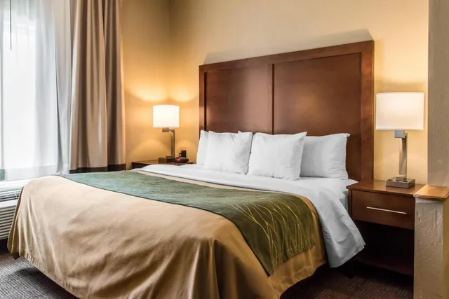 Upgrade, King Bed، Comfort Inn Lancaster County Columbia, PA 1/2