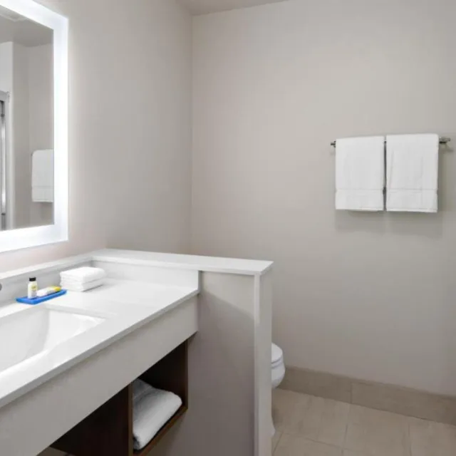 جناح بسرير مزدوج، Holiday Inn Express & Suites Nashville Metrocenter Downtown 10/10