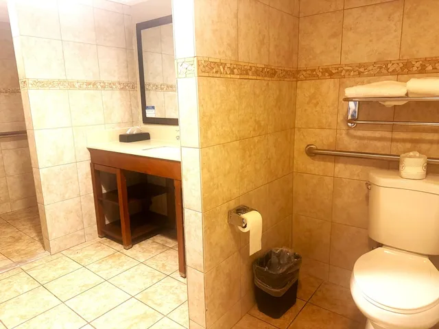 غرفة بسرير كينج لذوي الإعاقة، Comfort Inn Downtown Salt Lake City, UT 4/10