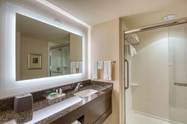 غرفة قياسية بسرير كينج لذوي الإعاقة، Holiday Inn Hotel Suites Atlanta Airport North 4/5