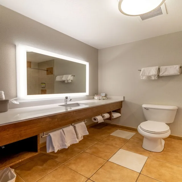غرفة قياسية بسرير كوين، Holiday Inn Express Hotel And Suites Limon I 70 Ex 359 7/7