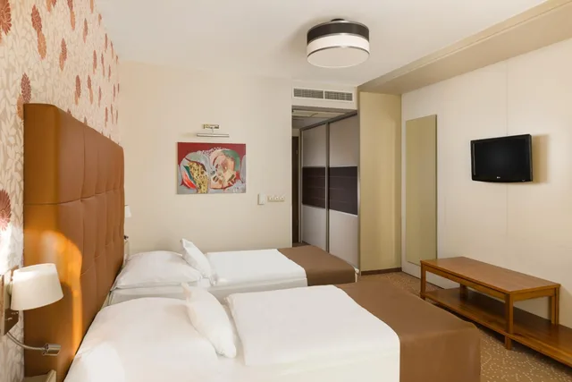 غرفة قياسية بسرير مزدوج أو سريرين منفصلين، Corso Hotel Pecs 4/9