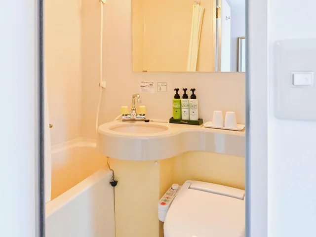 Room, Single, Smoking, Park Hotel Kani 6/8