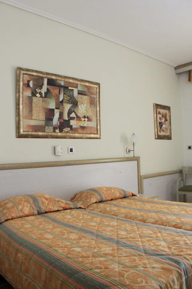 غرفة سوبيريور بسرير مزدوج، Platon Hotel 1/3