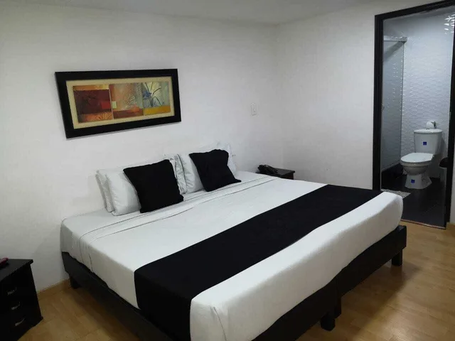 غرفة قياسية بسرير كينج، Hotel Santiago Plaza 1/4
